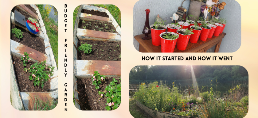 Budget Friendly Garden Updated Cover Picture