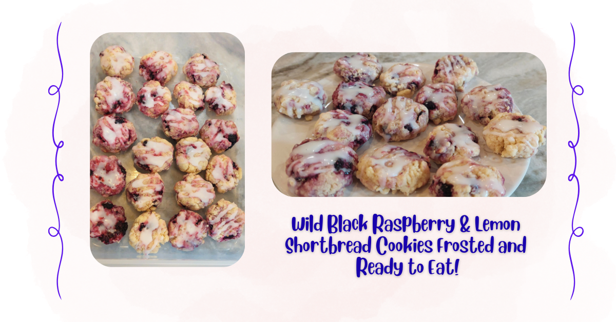 Lemon Raspberry Shortbread Cookies Wild Black Raspberry & Lemon Shortbread Cookies Recipe. - Mornings At Home