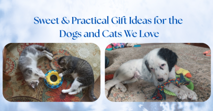 Sweet & Practical Gift Ideas for the Dogs and Cats We Love Cover Picture