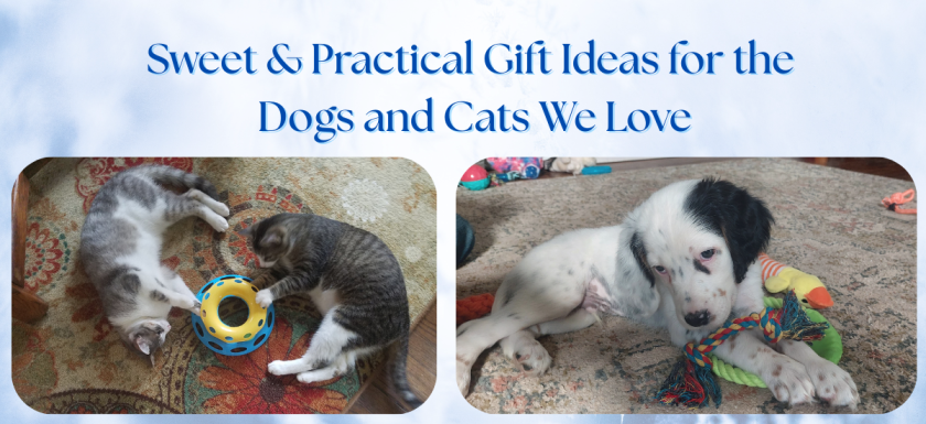 Sweet & Practical Gift Ideas for the Dogs and Cats We Love Cover Picture