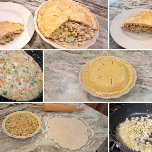 Turkey Pot Pie Recipe Picture