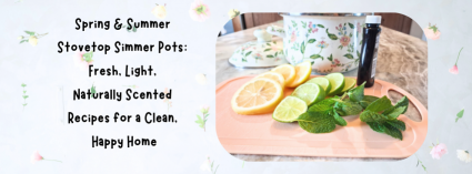 Spring-Summer-Stovetop-Simmer-Pots-Fresh-Light-Naturally-Scented-Recipes-for-a-Clean-Happy-Home-cover